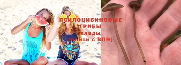 мяу мяу мука Алексин