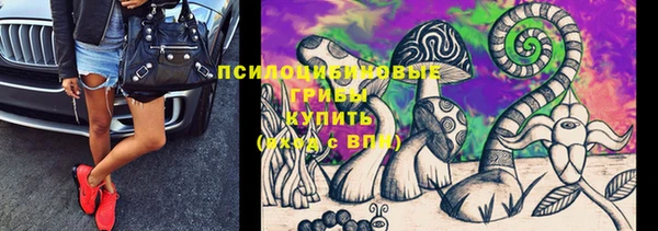 дживик Алексеевка